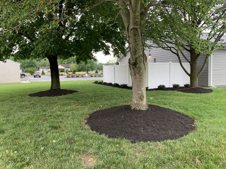 JP Lawn & Landscaping | Lawn Care with Mulching
