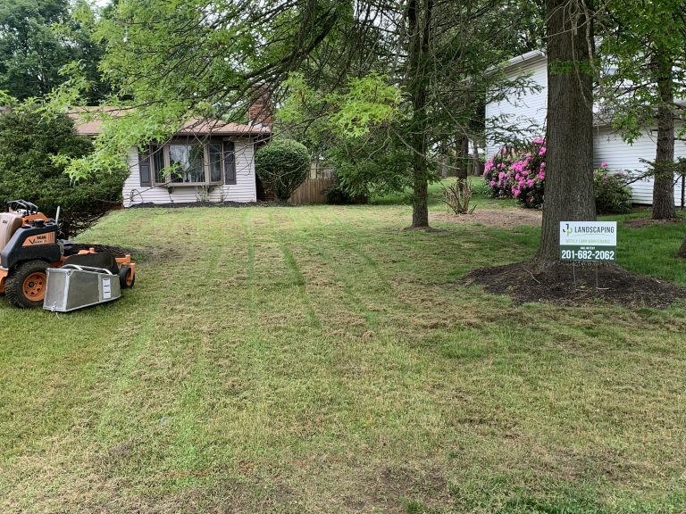 JP Lawn & Landscaping | Yard Care with Lawn Mower