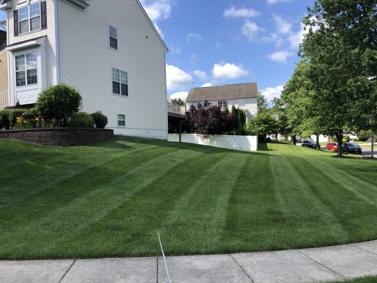 JP Lawn & Landscaping | Lawn Care with Grass Stripes