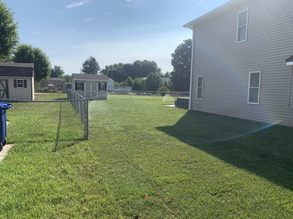 Newly installed backyard sod with sprinkler running along chain link fence in New Jersey