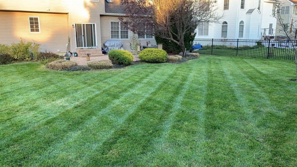 Backyard with striped mowed lawn, patio, and shrubs at dusk