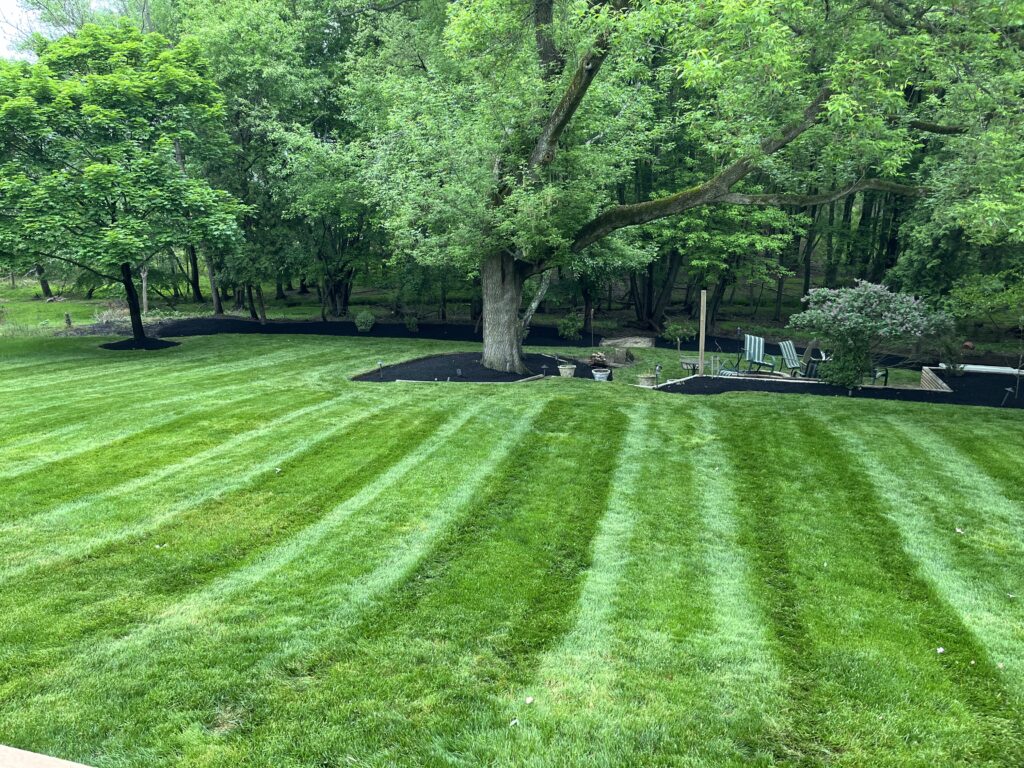 Large backyard with striped mowed lawn and mulch beds in Burlington County NJ