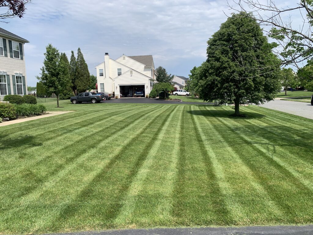 Large suburban two-story house with striped mowed front lawn