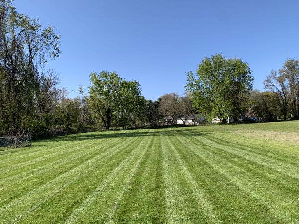 Open field with striped mowed lawn, trees, and blue sky