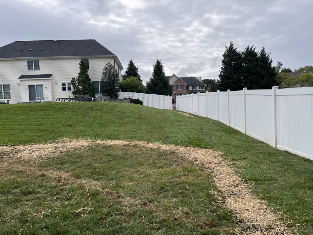Sloped backyard lawn seeding with straw cover and white fence in Burlington County NJ