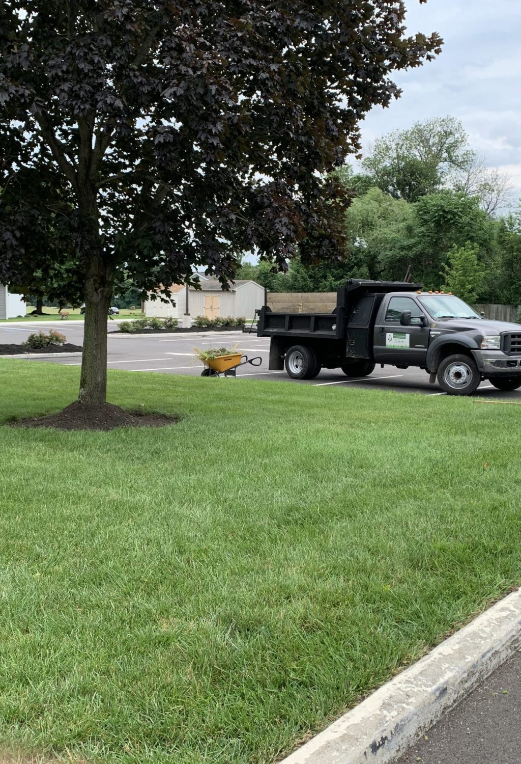 IMG_2835 JP Lawn & Landscaping
